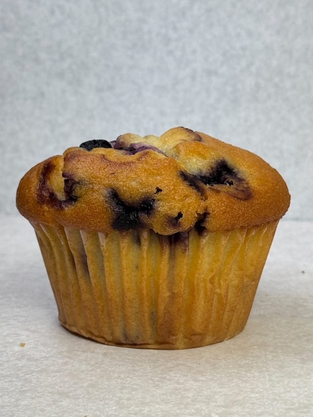 Blueberry Huge Homemade Muffins.