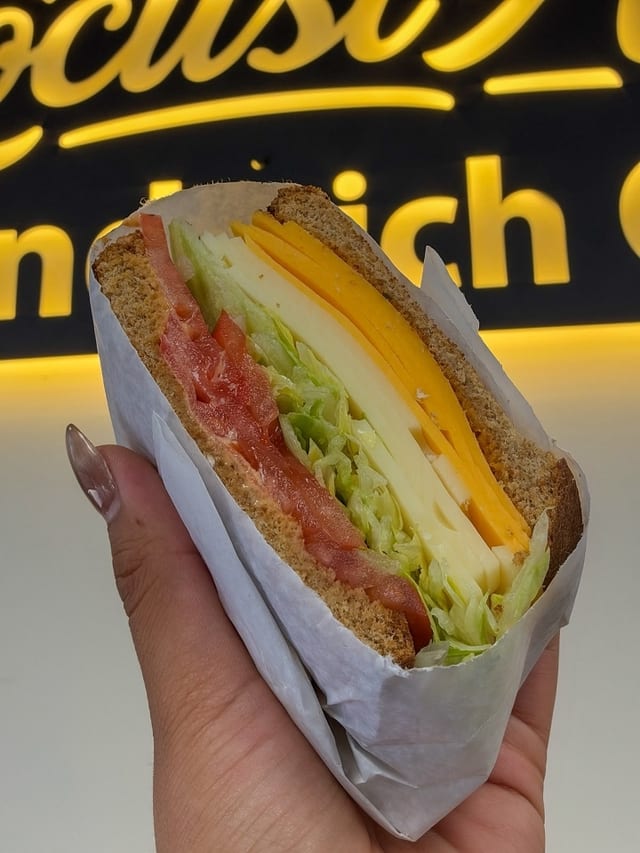 Cheese sandwich.